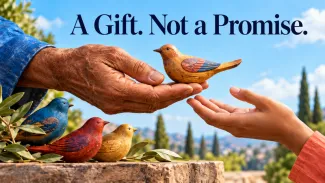 An older hand offers a carved wooden bird to a younger hand while three birds remain nearby.